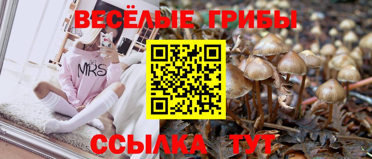 Галлюциногенные грибы GOLDEN TEACHER  Вход с VPN  Псилоцибиновые грибы мицелий  Кисловодск 
